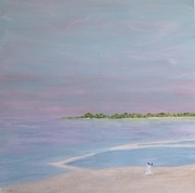 Beach with Sea Gull