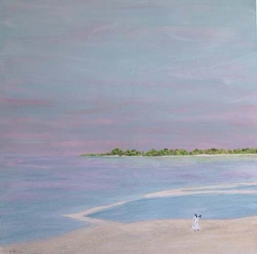 Beach with Sea Gull