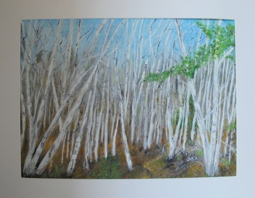 Belair Forest