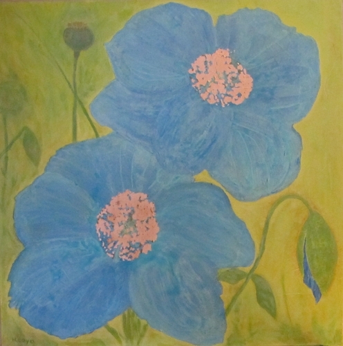 Blue Poppies