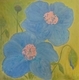 Blue Poppies