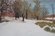 Early Snow
