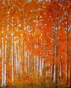 Fall Colours