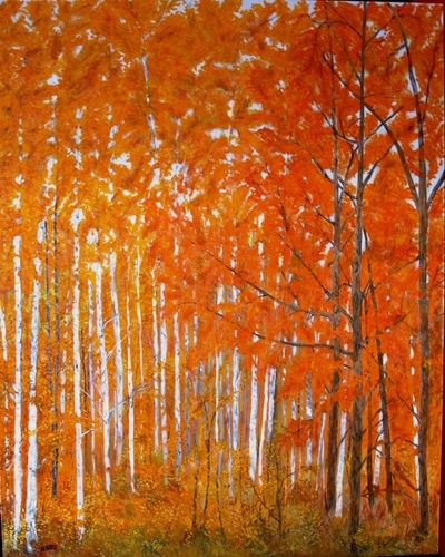 Fall Colours