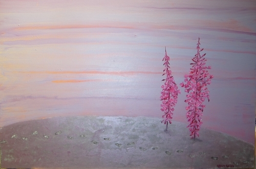 Fireweed 2023