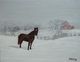 Grandpa's Horse