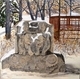 Lion in Winter
