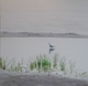 Patricia Beach - Grey