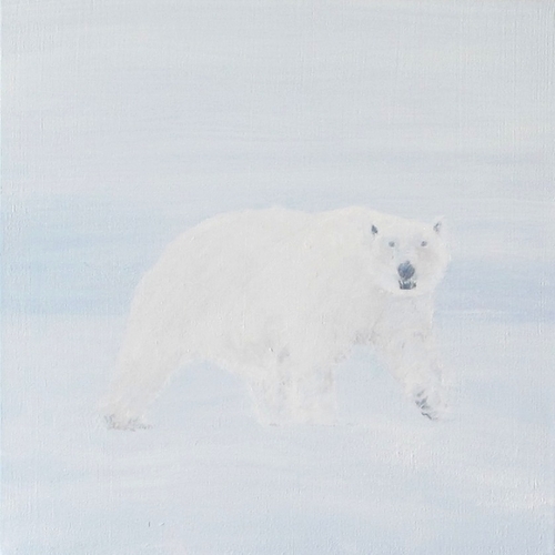 Polar Bear