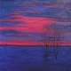 Prairie Winter
