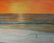 PVR Beach