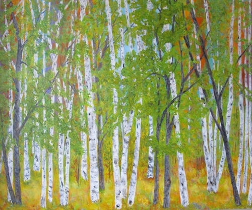 Rainbows in the Woods