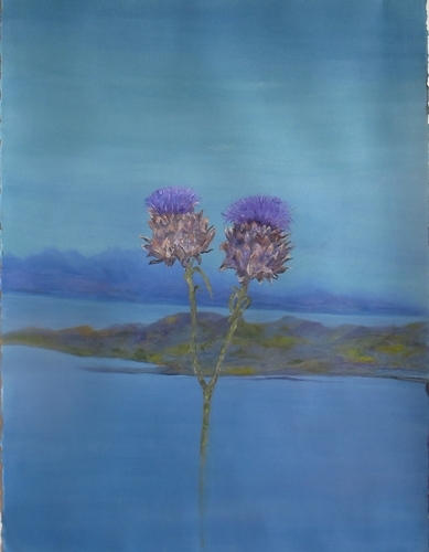 Scotch Thistles