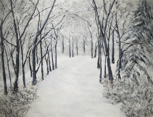 Snowy pathway