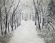 Snowy pathway