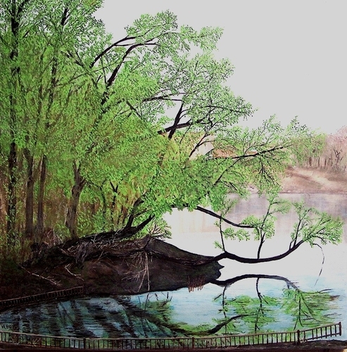 Spring Reflections 2010