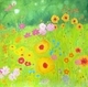 Wild Flowers