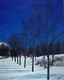 Winter View at the Forks
