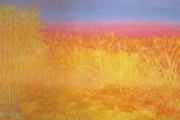 Yellow Field